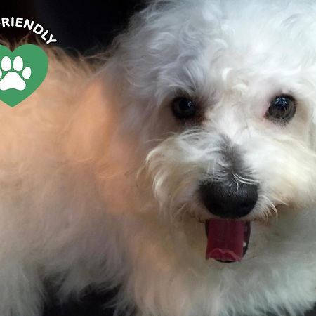 Bergamo Inn 15 المظهر الخارجي الصورة The restaurant is pet friendly